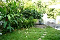 Holland Road (D10), Semi-Detached #455015561